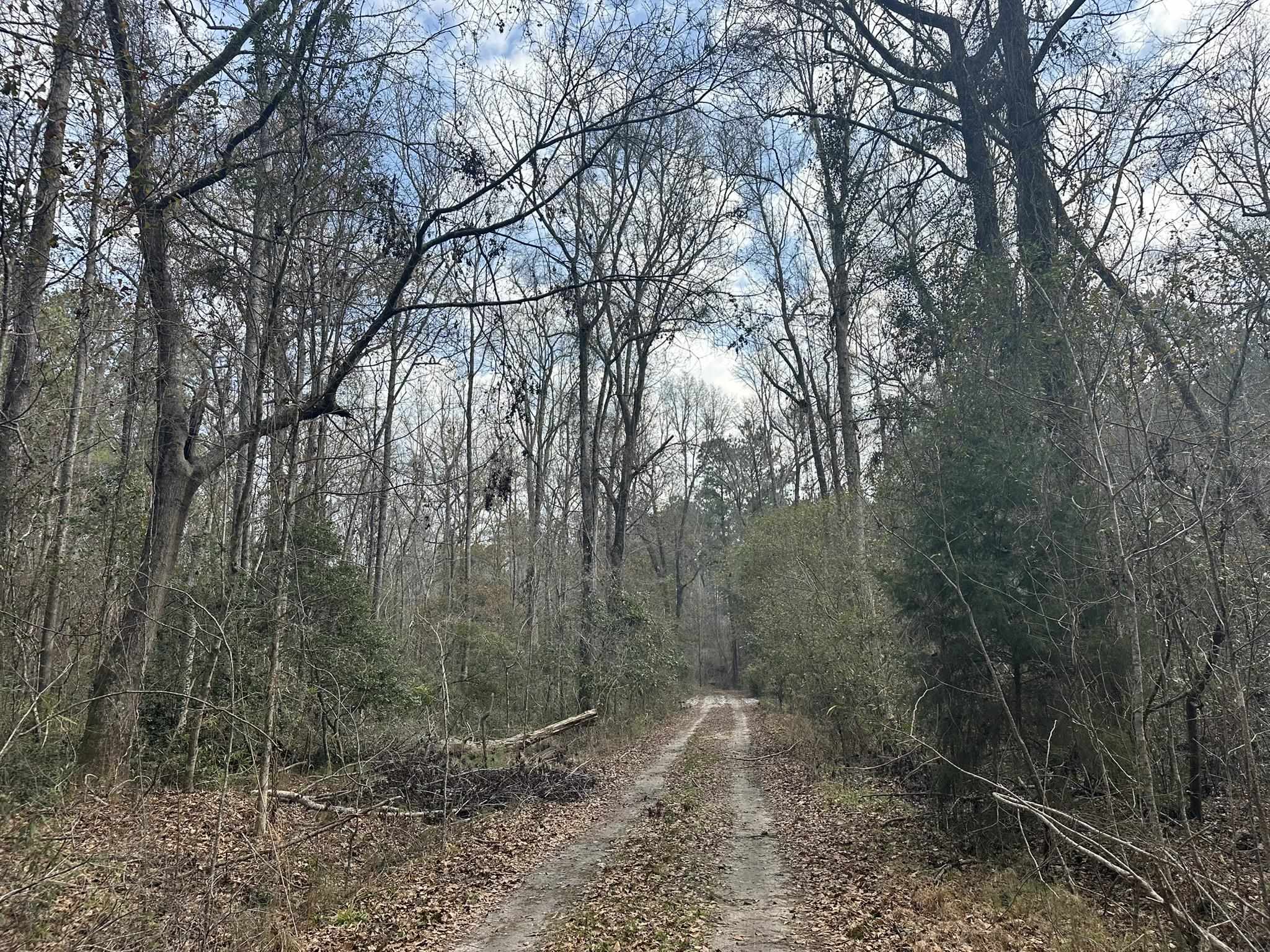 Tbd Tbd Hunters Chapel Road Smoaks, SC 29481 - Photo 23 of 59