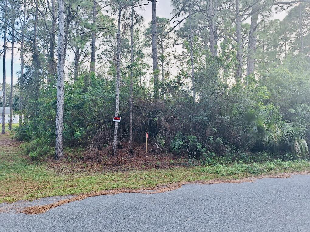 1720 Hydrangea Road Palm Bay, FL 32907 - Photo 1 of 2 1720 Hydrangea Road NW