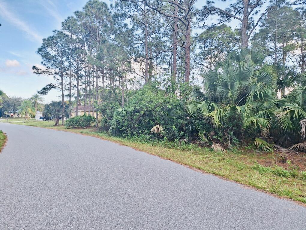 1720 Hydrangea Road Palm Bay, FL 32907 - Photo 2 of 2 Street View
