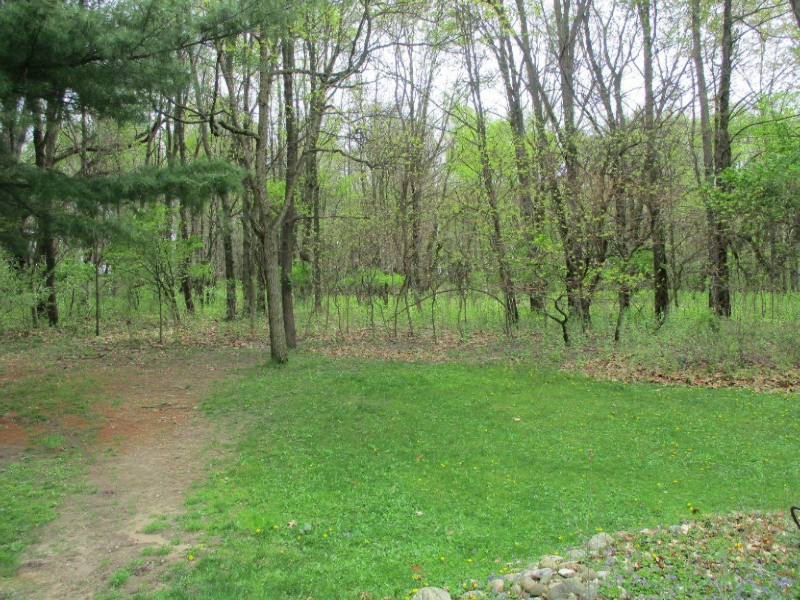 67219 Stubey Road Sturgis, MI 49091 - Photo 10 of 11 back yard