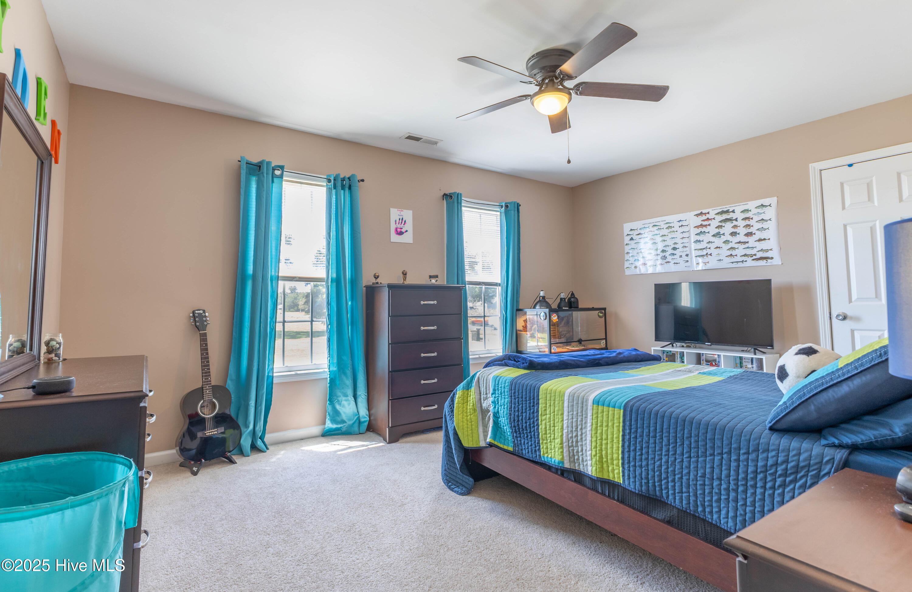 795 Haw Branch Road Beulaville, NC 28518 - Photo 18 of 28 IMG_8305-HDR