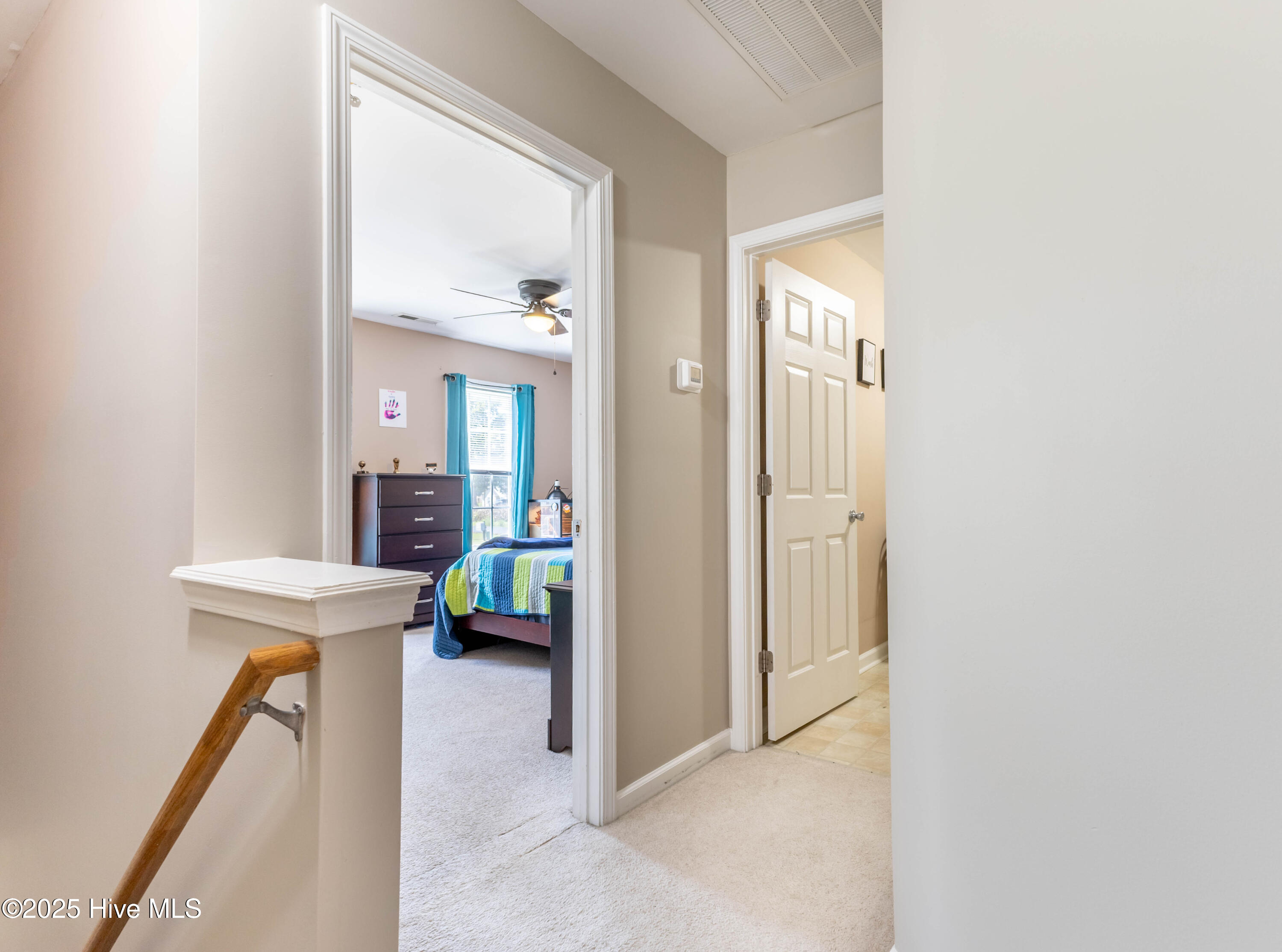 795 Haw Branch Road Beulaville, NC 28518 - Photo 25 of 28 IMG_8362-HDR