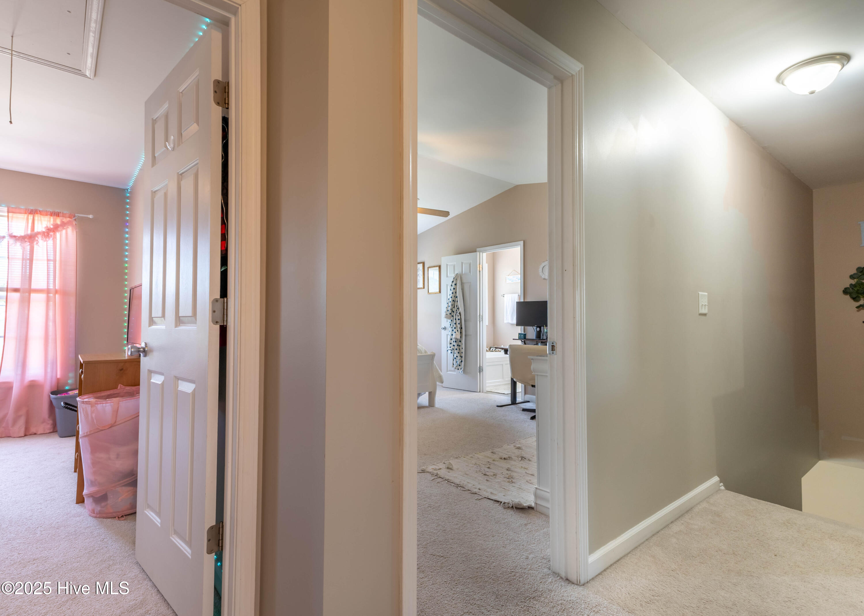 795 Haw Branch Road Beulaville, NC 28518 - Photo 26 of 28 IMG_8374-HDR