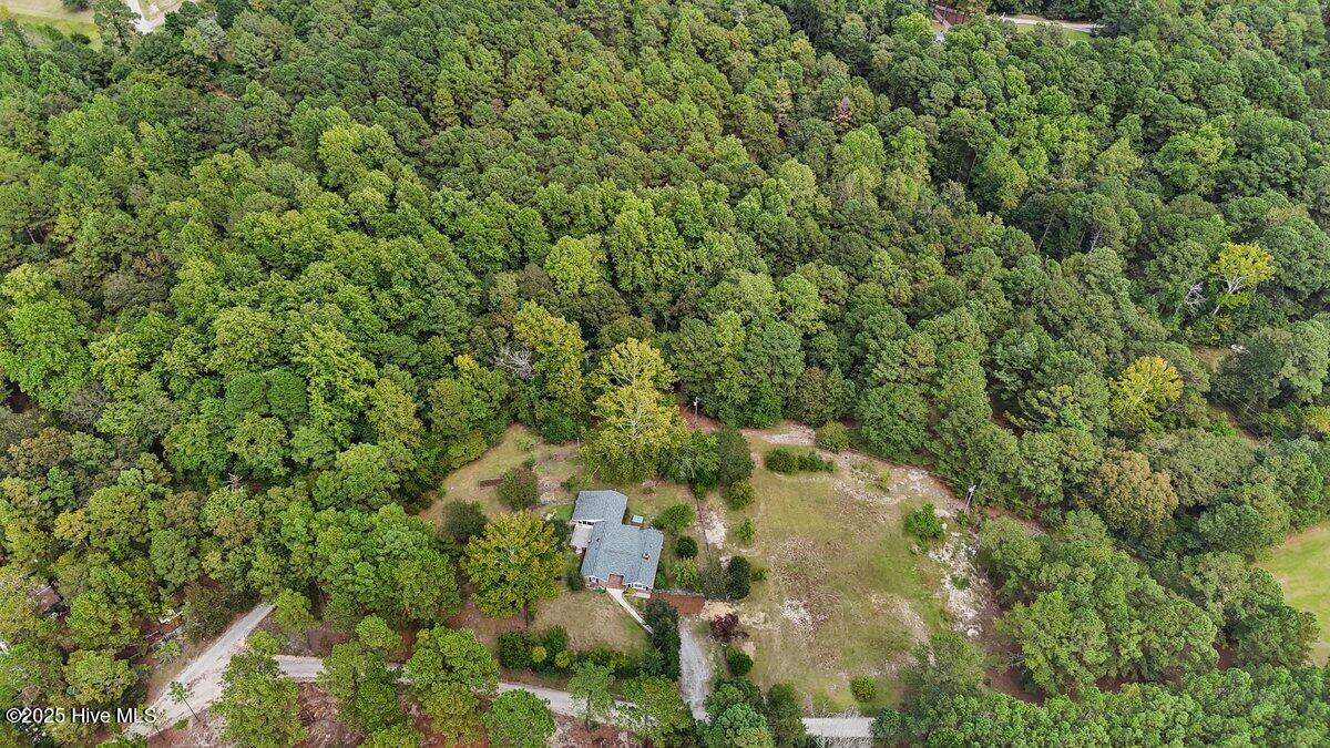 Tbd Bluebird Lane West End, NC 27376 - Photo 4 of 5 dji_fly_20231223_084910_0361_17576496973