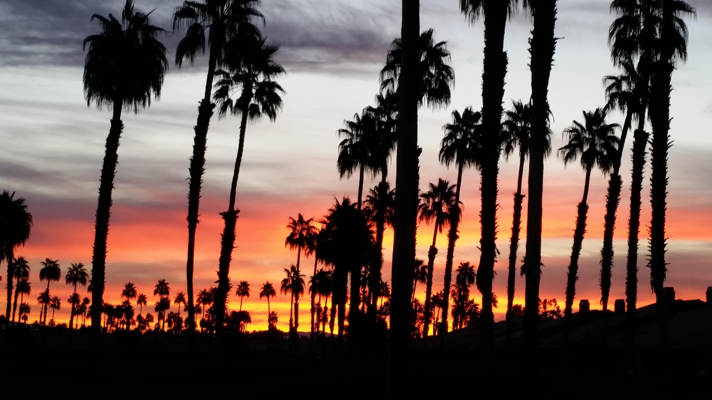 110 Conejo Circle Palm Desert, CA 92260 - Photo 1 of 66 Chaparral Sunrise