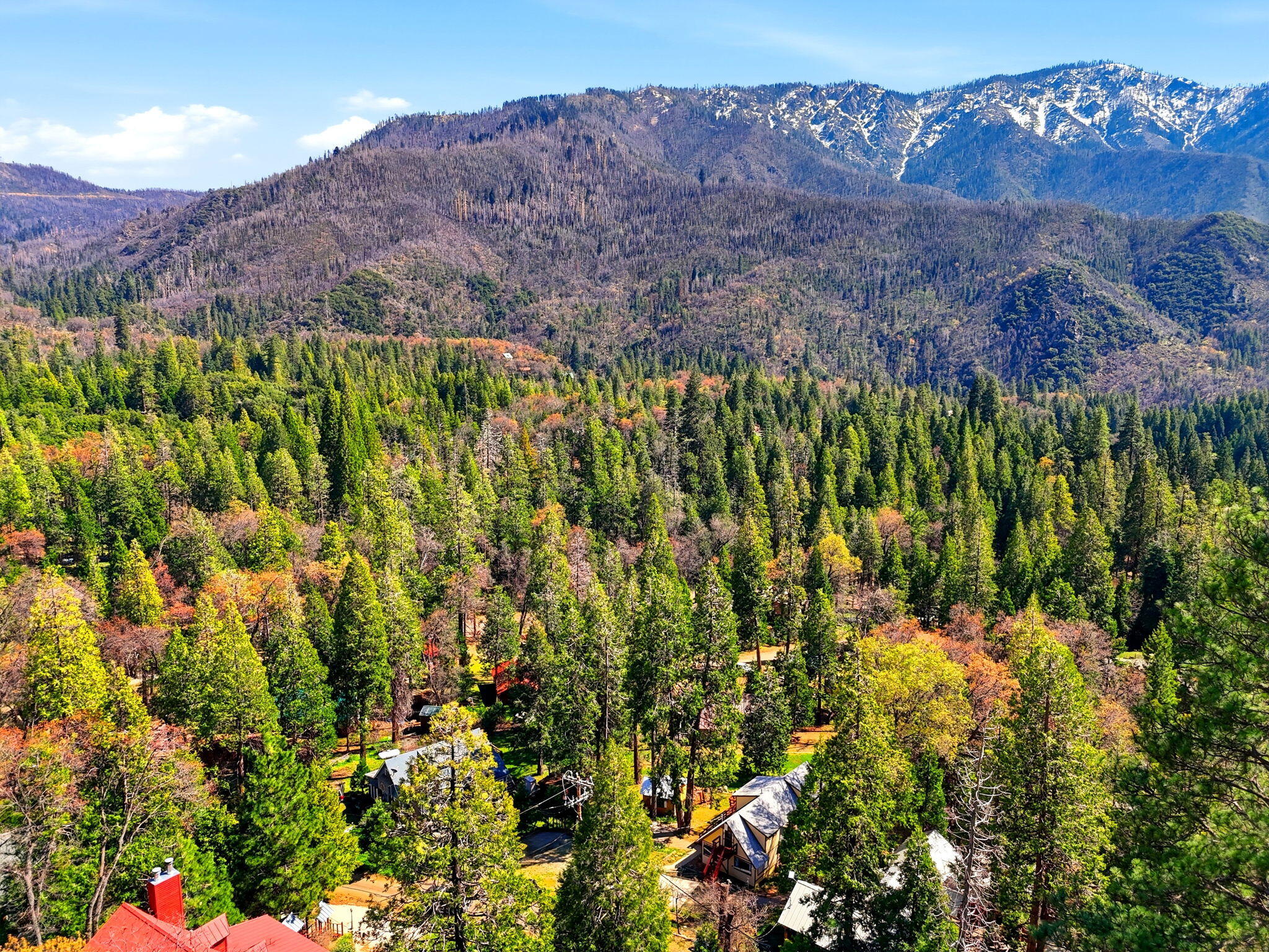 697 Loop Drive Springville, CA 93265 - Photo 50 of 55 a view of a bunch of trees