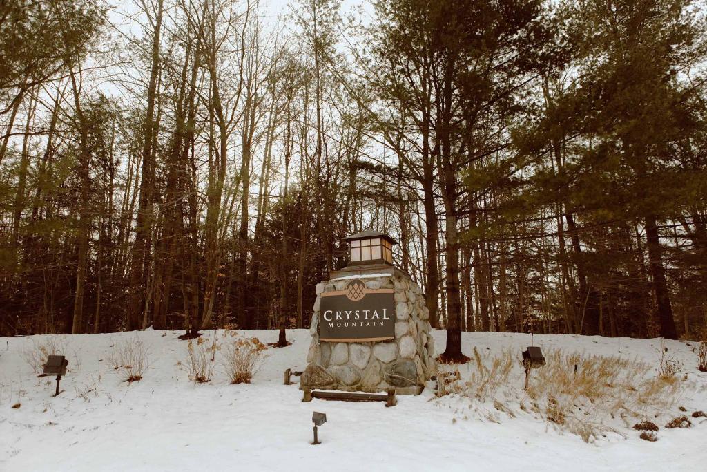 18863 Meadowlark Road Thompsonville, MI 49683 - Photo 9 of 58 603269999