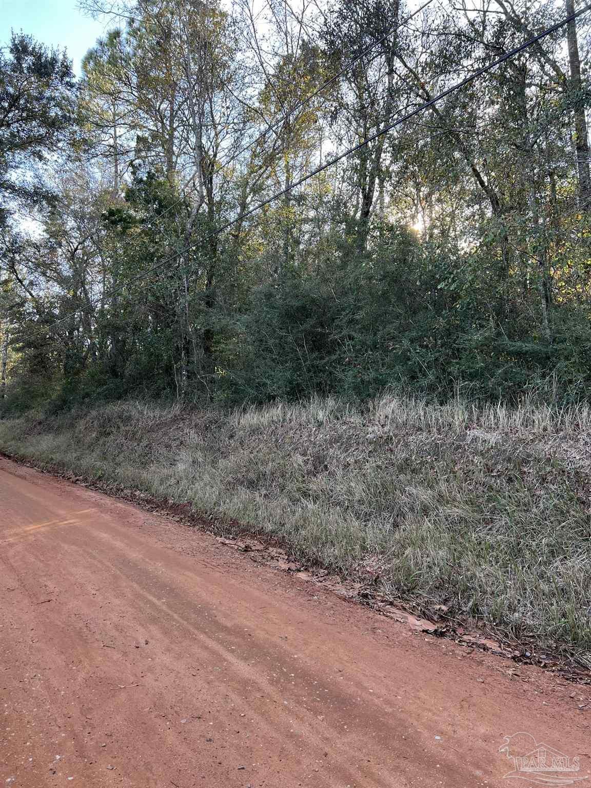 550 Jacks Branch Road Cantonment, FL 32533 - Photo 5 of 5