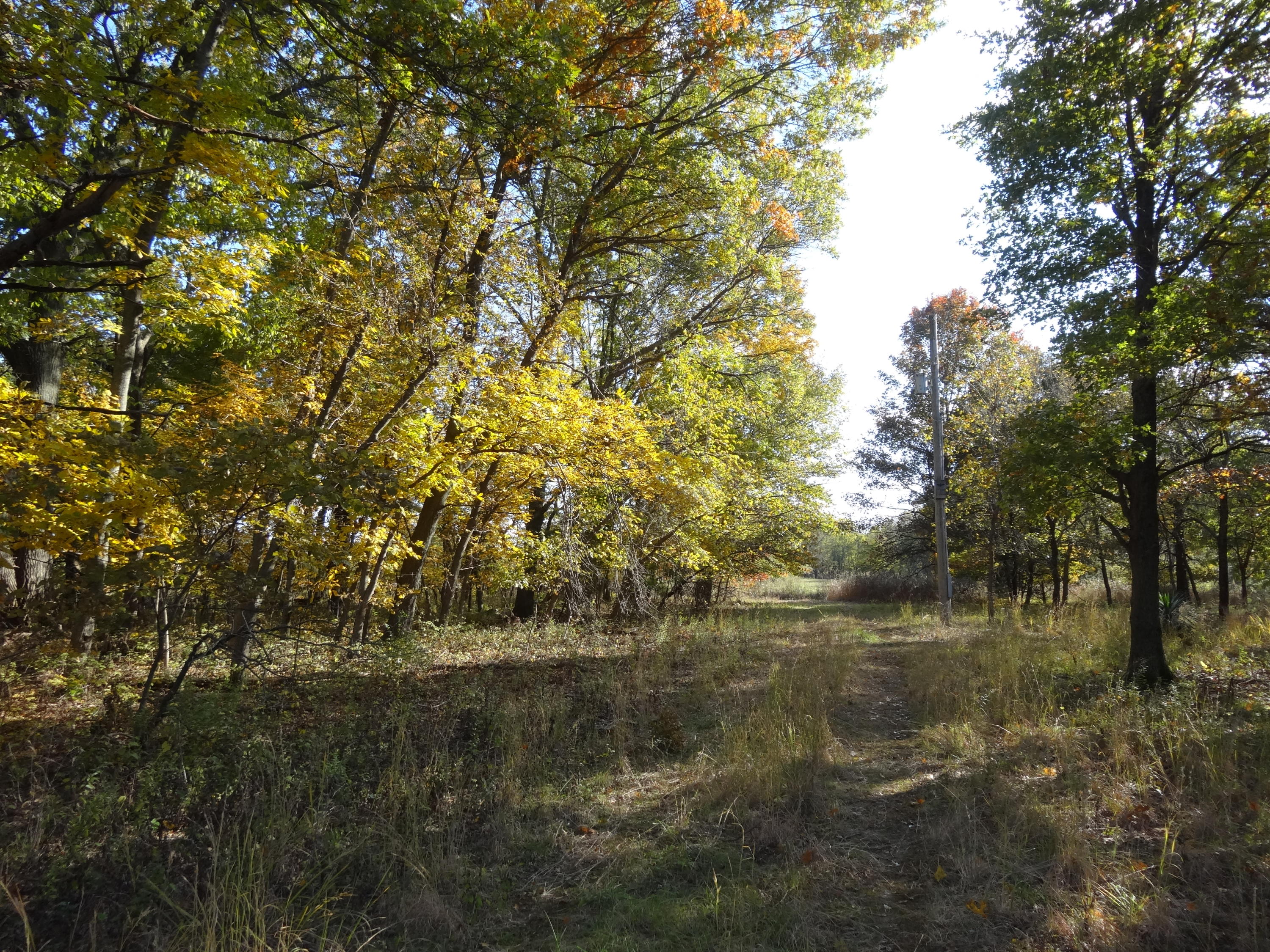 6 R R Wann, OK 74083 - Photo 9 of 48 Gallery Image 9