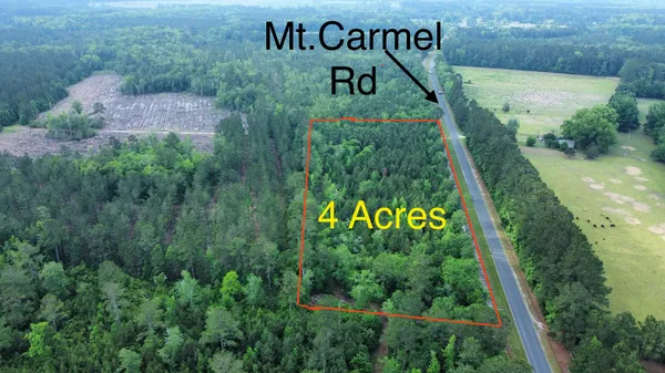 $70,000 | 1 Mt Carmel Road, Walterboro, SC 29488