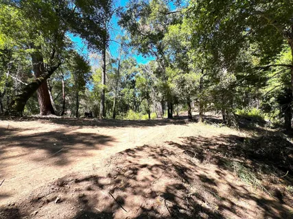 a view of backyard with green space