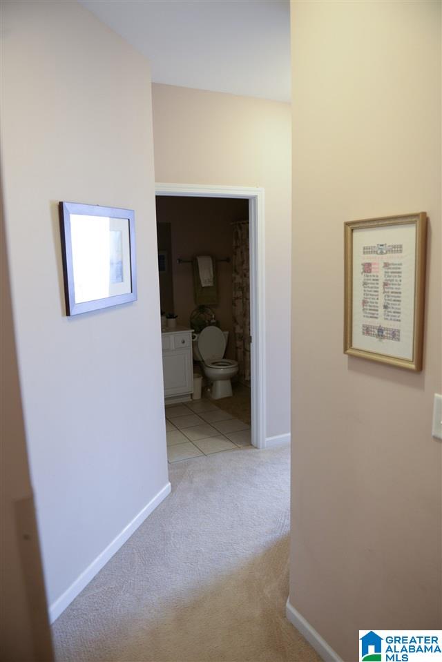 257 High Ridge Drive Pelham, AL 35124 - Photo 22 of 28