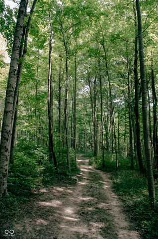 $4,649,000 | 1715 Templewood Drive, Zionsville, IN 46077