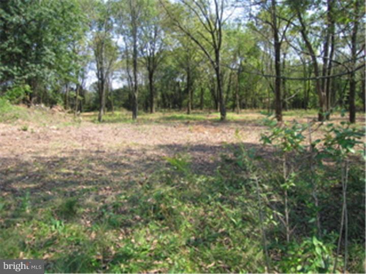 Lot 001 Freier Road Quakertown, PA 18951 - Photo 3 of 8 Gallery Image 3