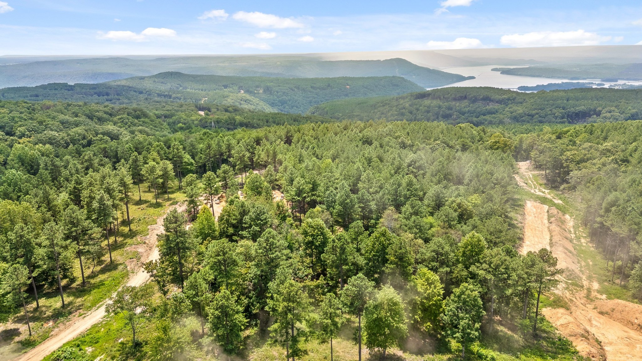 0 Treetop Street Guild, TN 37340 - Photo 23 of 36 Gallery Image 23
