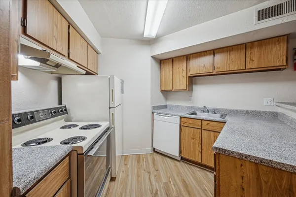 a kitchen with stainless steel appliances granite countertop a stove a sink dishwasher and cabinets with wooden floor