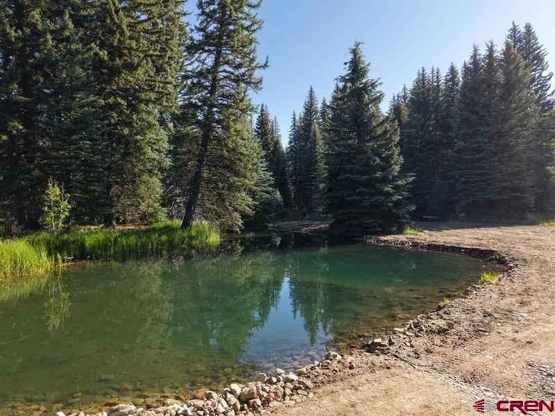 201 Golden Forest Road Bayfield, CO 81122 - Photo 2 of 37