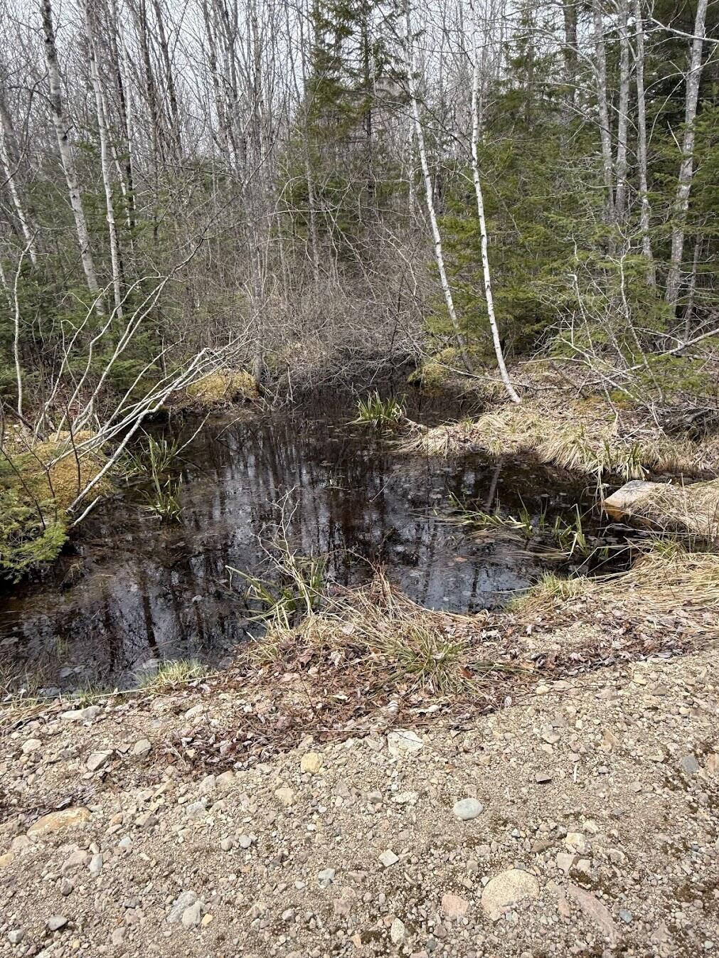 8-9 Western Stream Road Robbinston, ME 04671 - Photo 44 of 45 Western RD pond