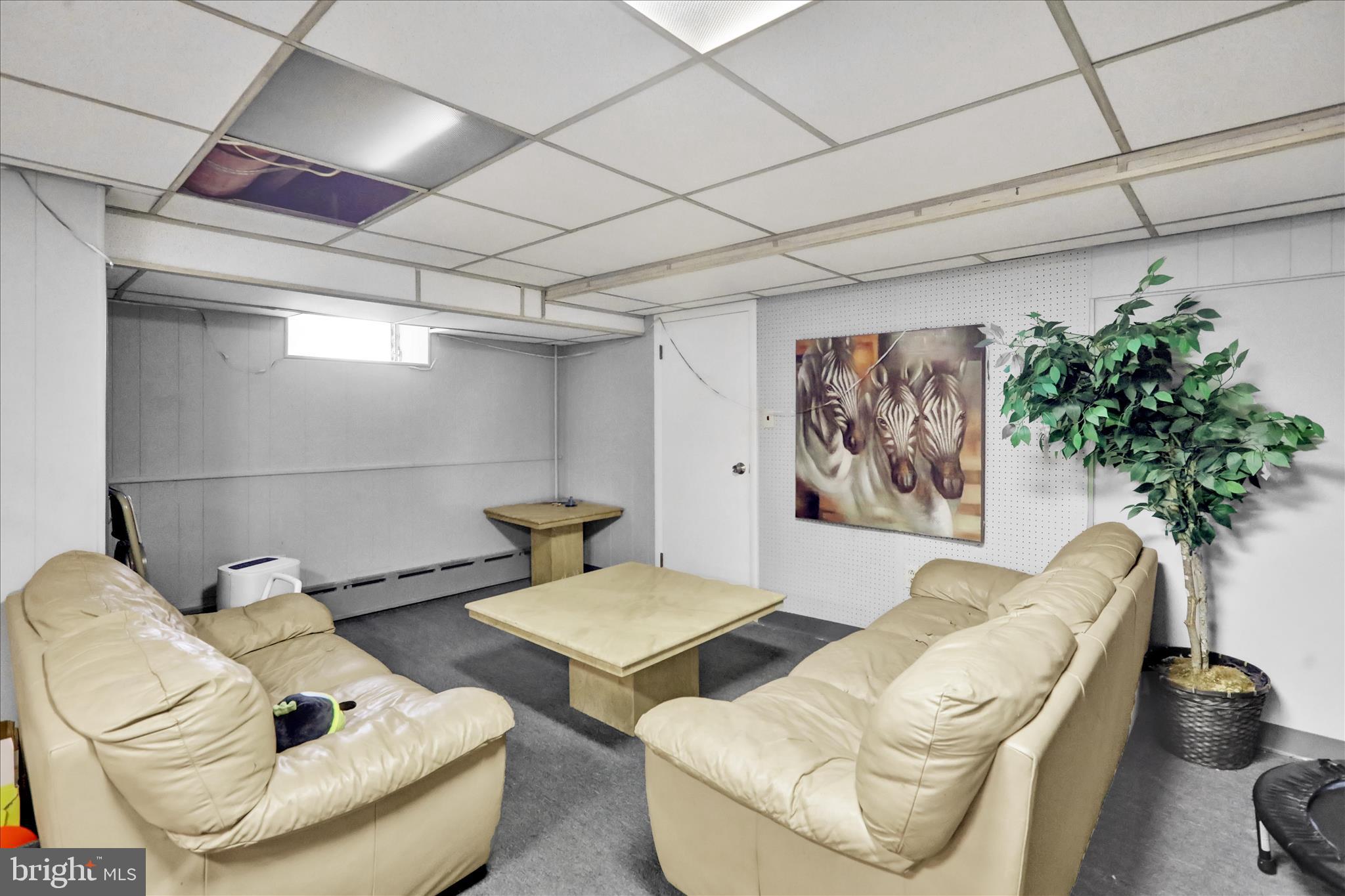 1722 Olive Street Reading, PA 19604 - Photo 24 of 31 a living room with furniture and a potted plant