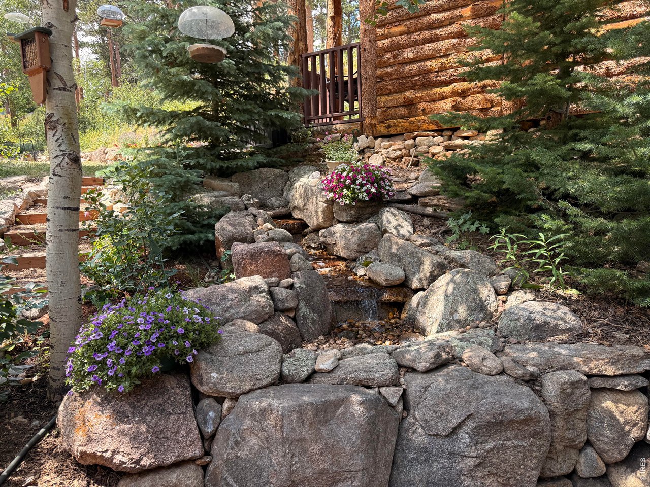 124 Ski Road Allenspark, CO 80510 - Photo 25 of 29