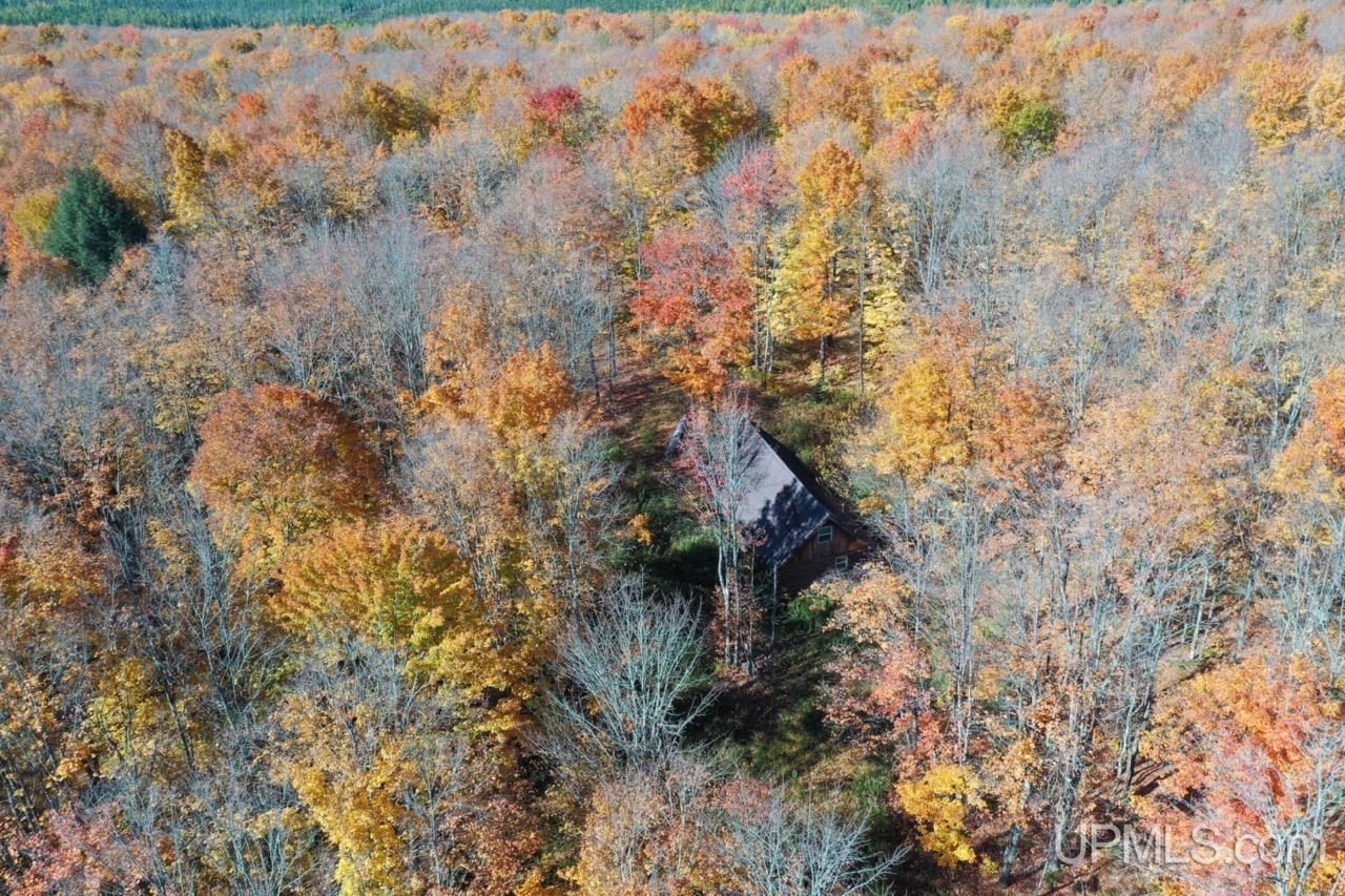 527 Usfs Road Iron River, MI 49935 - Photo 13 of 37