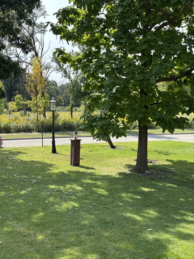 192 Waubansee Road Riverside, IL 60546 - Photo 19 of 19 a view of a park with a tree