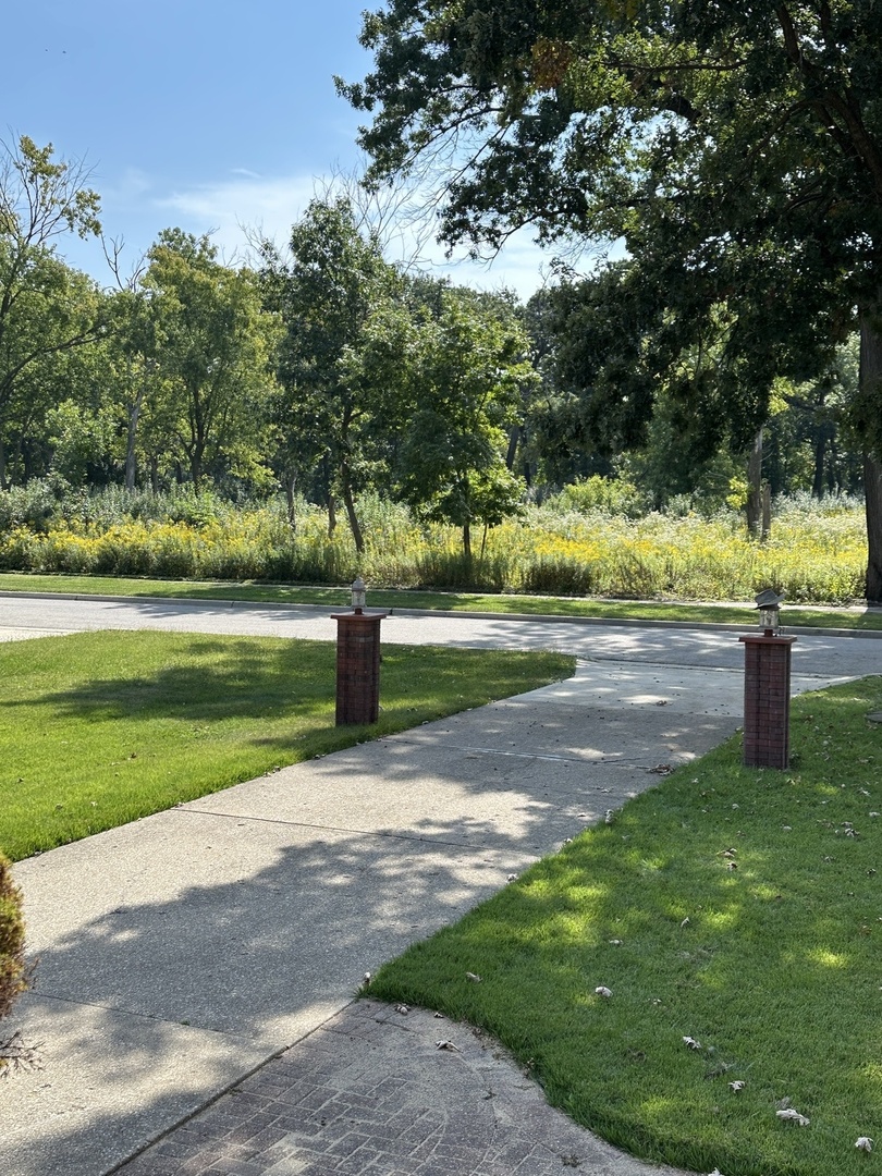 192 Waubansee Road Riverside, IL 60546 - Photo 3 of 19 a view of a park with large trees
