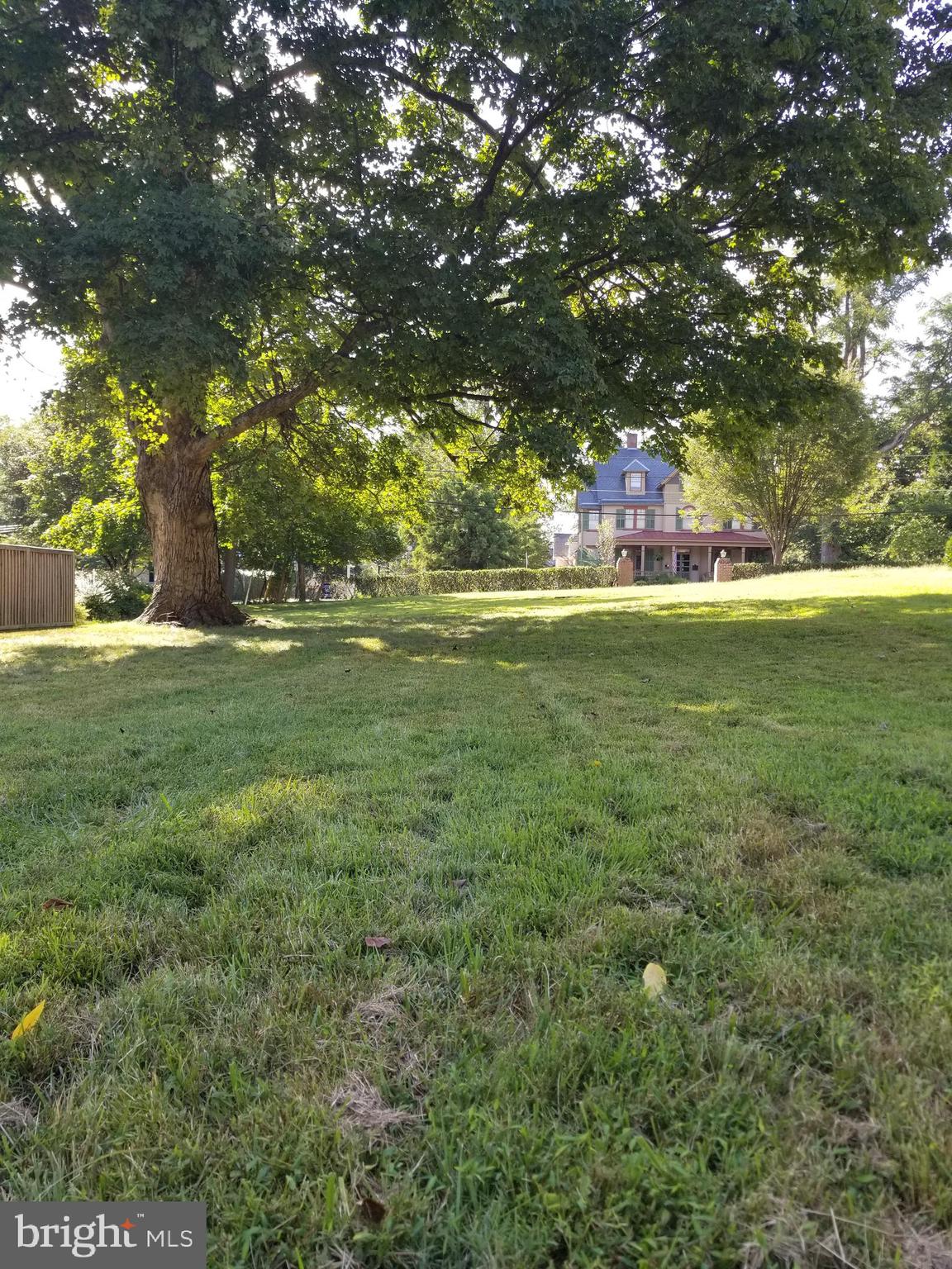 a view of a trees with a big yard