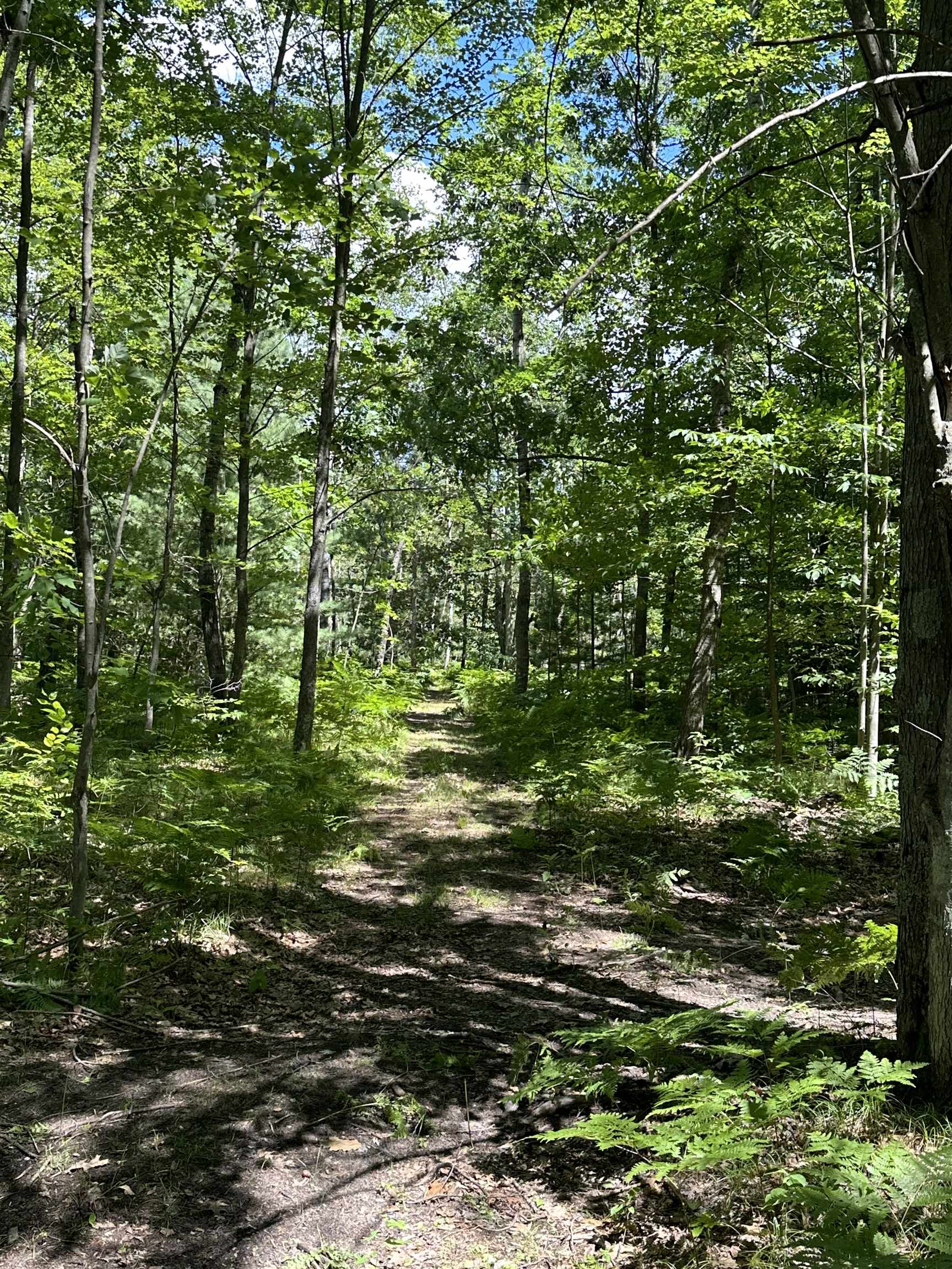 0 North Hodenpyl Dam Road Mesick, MI 49668 - Photo 10 of 11