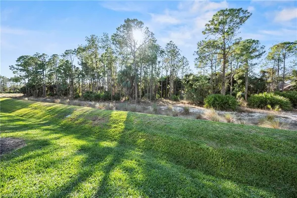 a view of a park with large trees