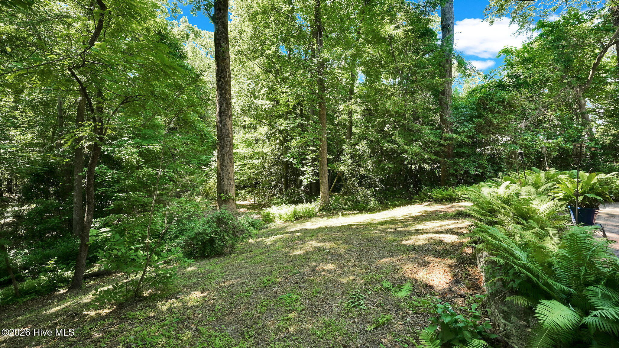 141 East Longmeadow Road Greenville, NC 27858 - Photo 6 of 70