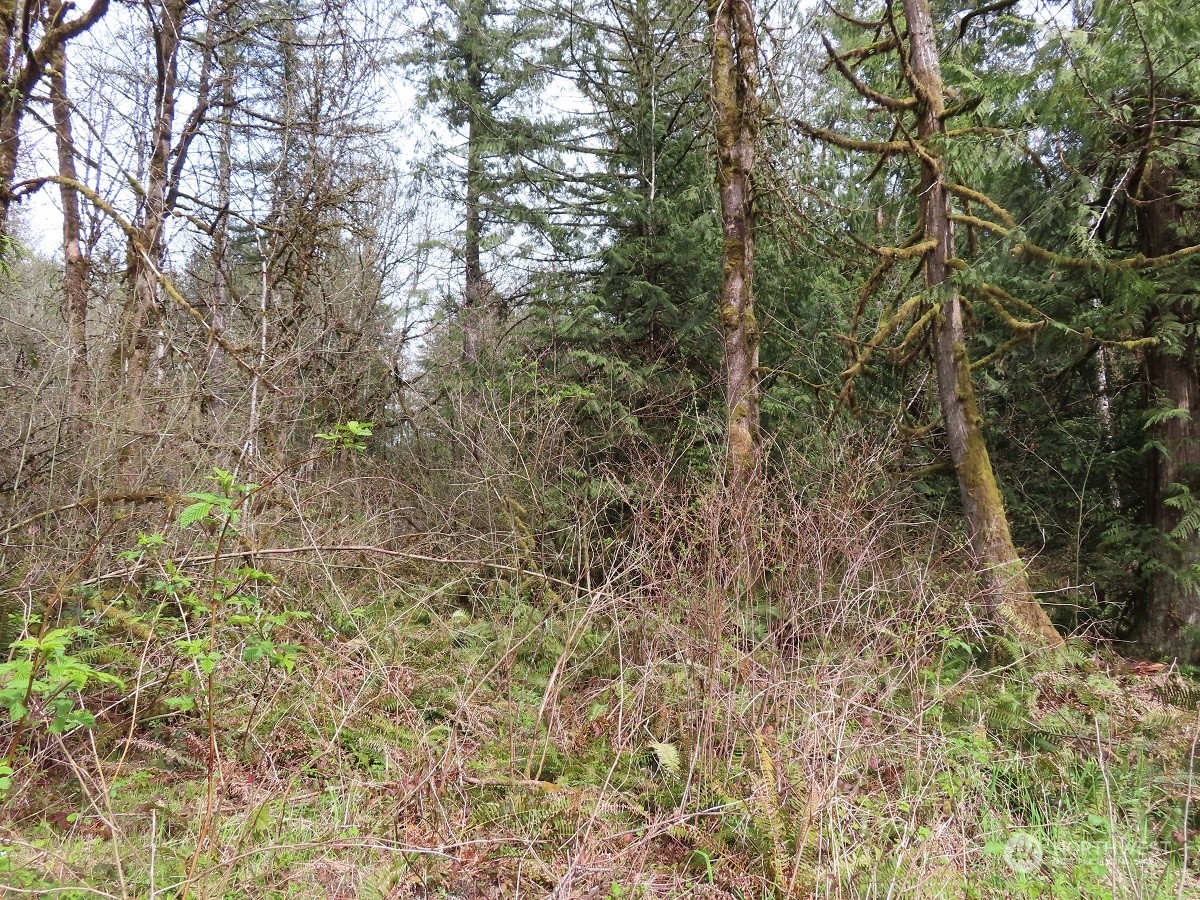 -xxx Hobson Road Southwest Centralia, WA 98531 - Photo 1 of 20 Gallery Image 1