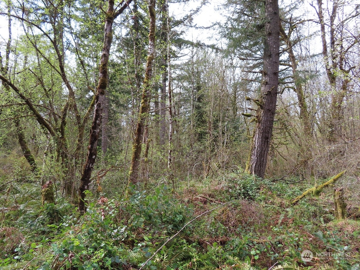 -xxx Hobson Road Southwest Centralia, WA 98531 - Photo 3 of 20 Gallery Image 3