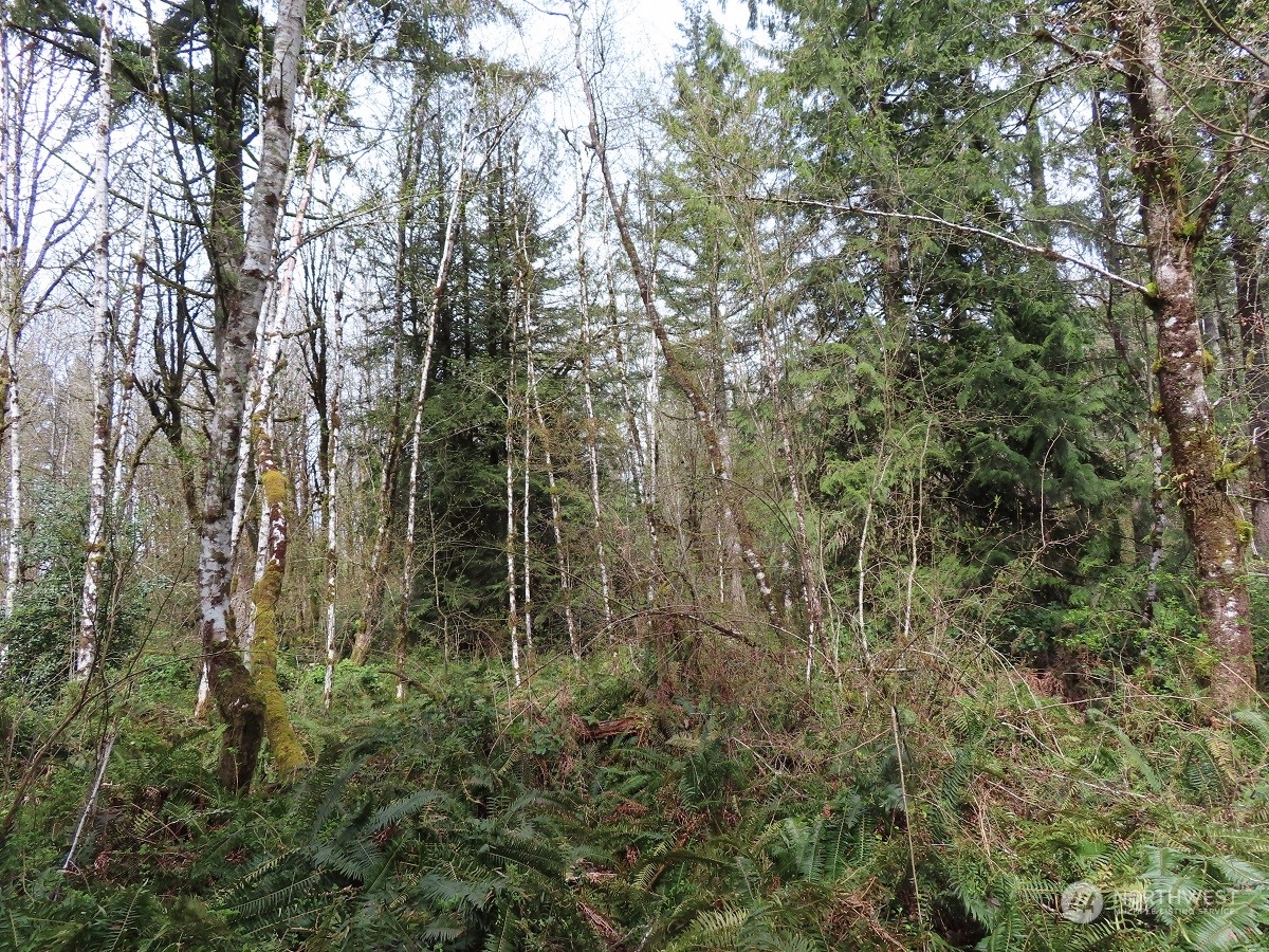 -xxx Hobson Road Southwest Centralia, WA 98531 - Photo 5 of 20 Gallery Image 5