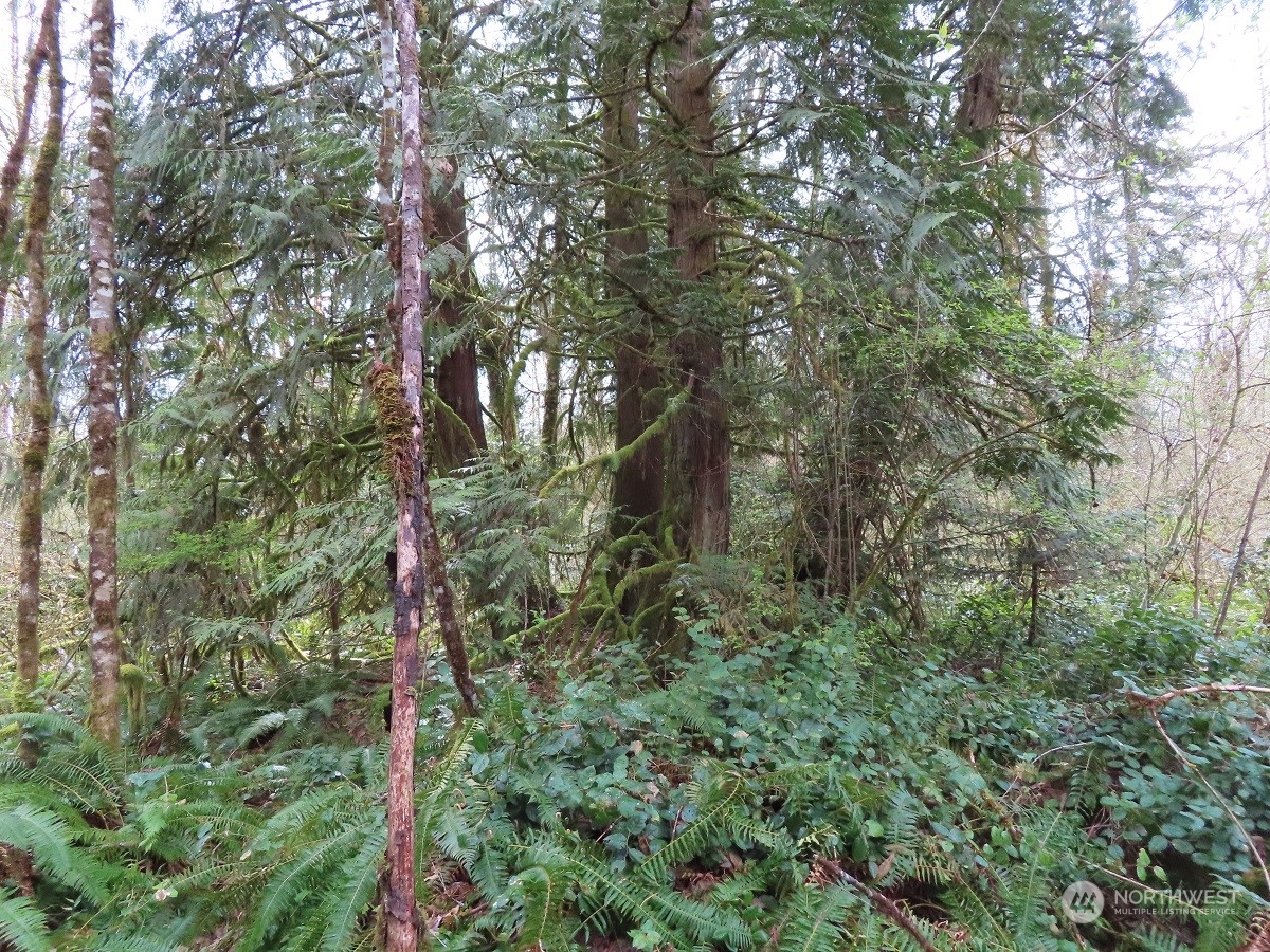 -xxx Hobson Road Southwest Centralia, WA 98531 - Photo 8 of 20 Gallery Image 8