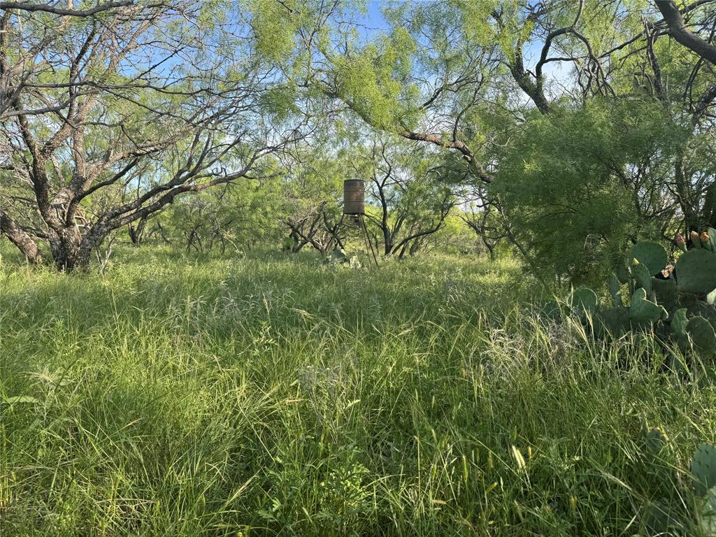 794 West Antelope Road, Unit 1 Windthorst, TX 76389 - Photo 34 of 40