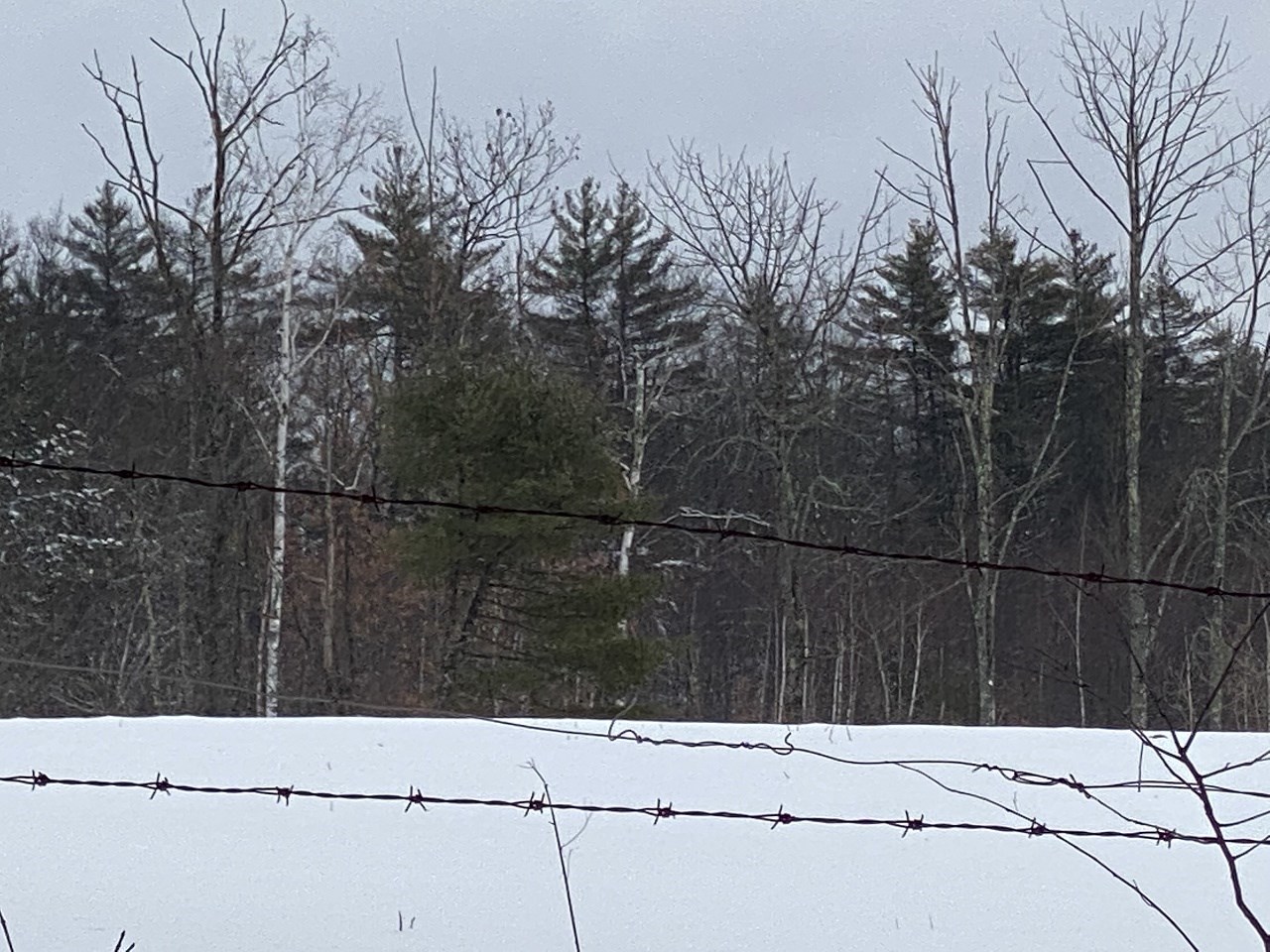 469-3 S Road, Unit MAP 5 LOT 421 Sullivan, NH 03445 - Photo 11 of 14