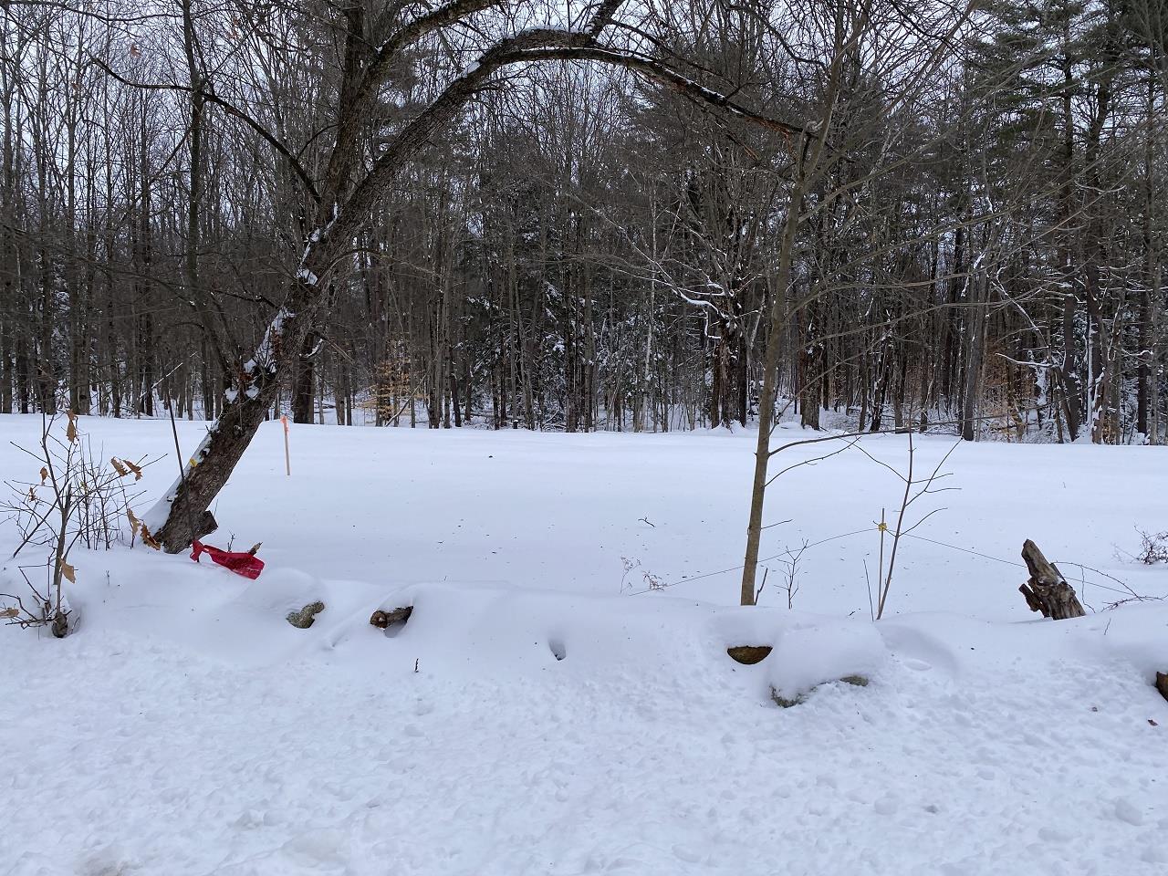 469-3 S Road, Unit MAP 5 LOT 421 Sullivan, NH 03445 - Photo 12 of 14