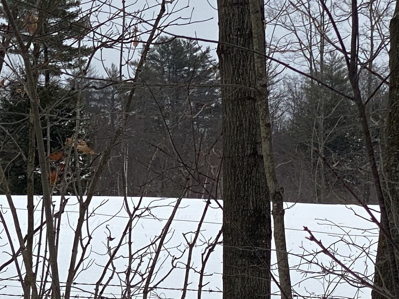 469-3 S Road, Unit MAP 5 LOT 421 Sullivan, NH 03445 - Photo 13 of 14