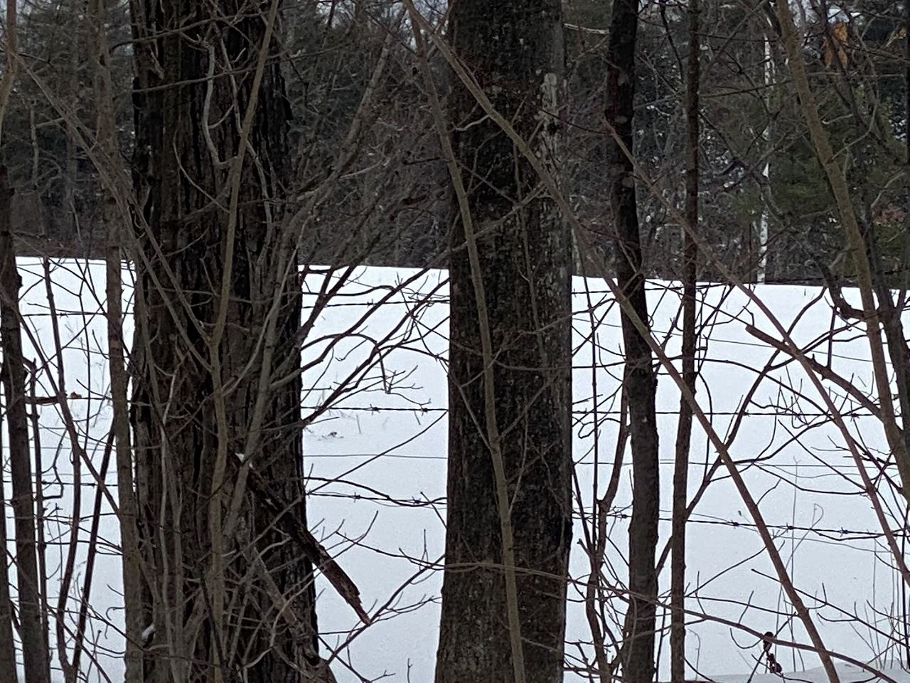 469-3 S Road, Unit MAP 5 LOT 421 Sullivan, NH 03445 - Photo 14 of 14