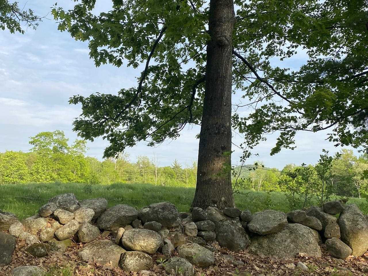 469-3 S Road, Unit MAP 5 LOT 421 Sullivan, NH 03445 - Photo 6 of 14