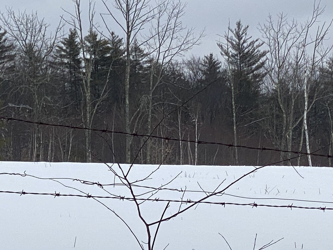 469-3 S Road, Unit MAP 5 LOT 421 Sullivan, NH 03445 - Photo 10 of 14