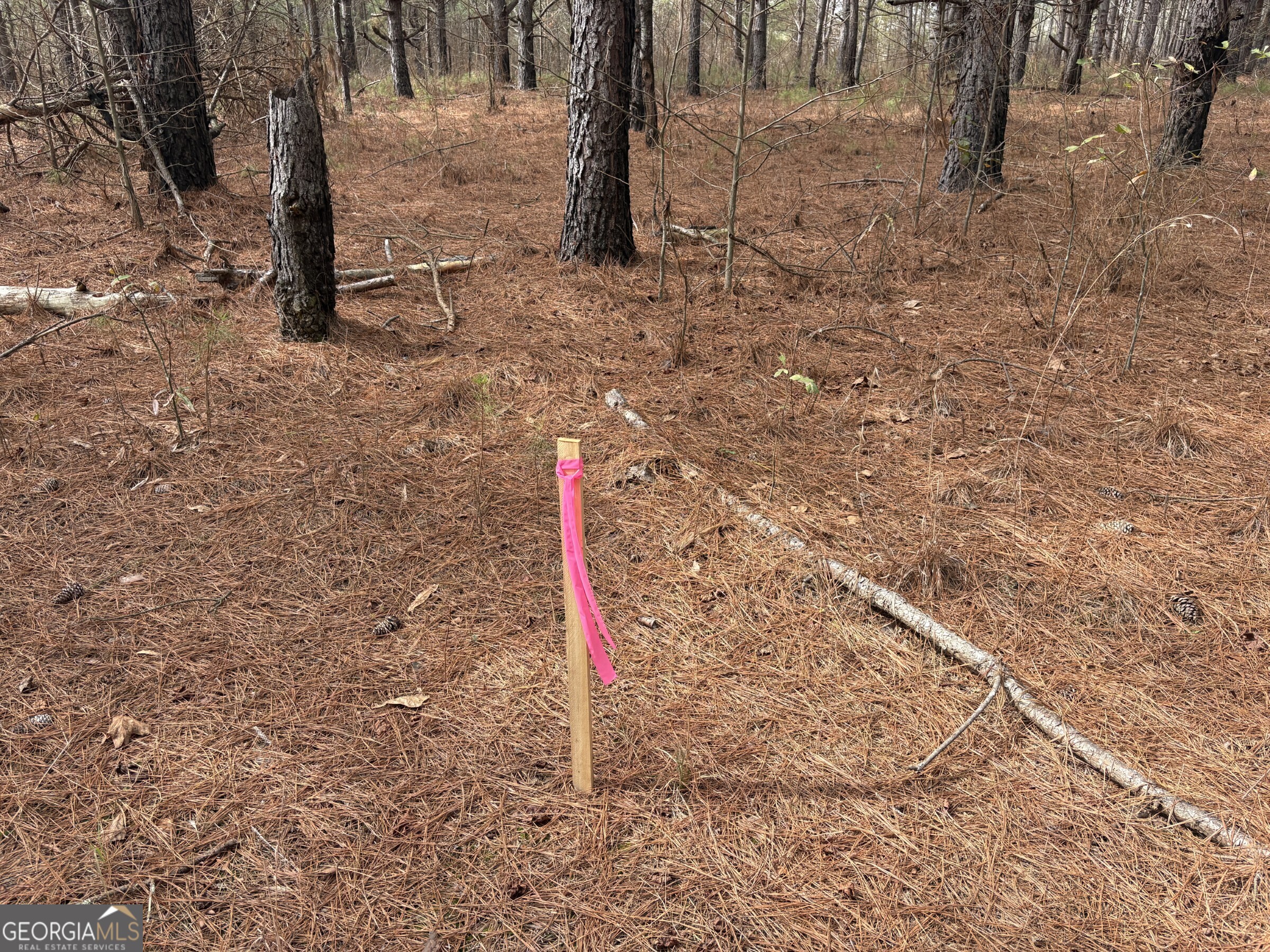 L8 Quaker Road Keysville, GA 30816 - Photo 7 of 10