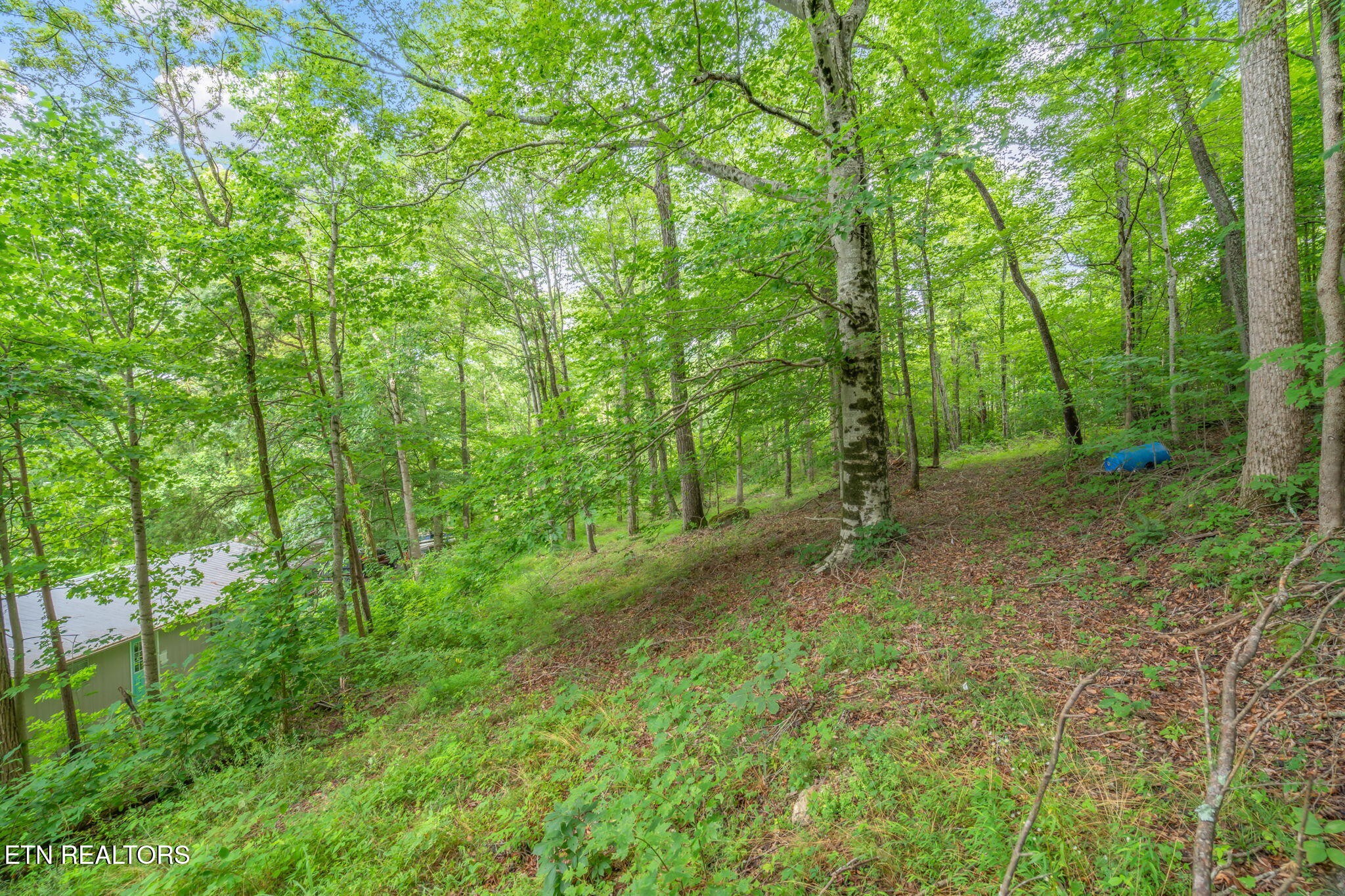 1386 Walker Ford Road Maynardville, TN 37807 - Photo 27 of 35