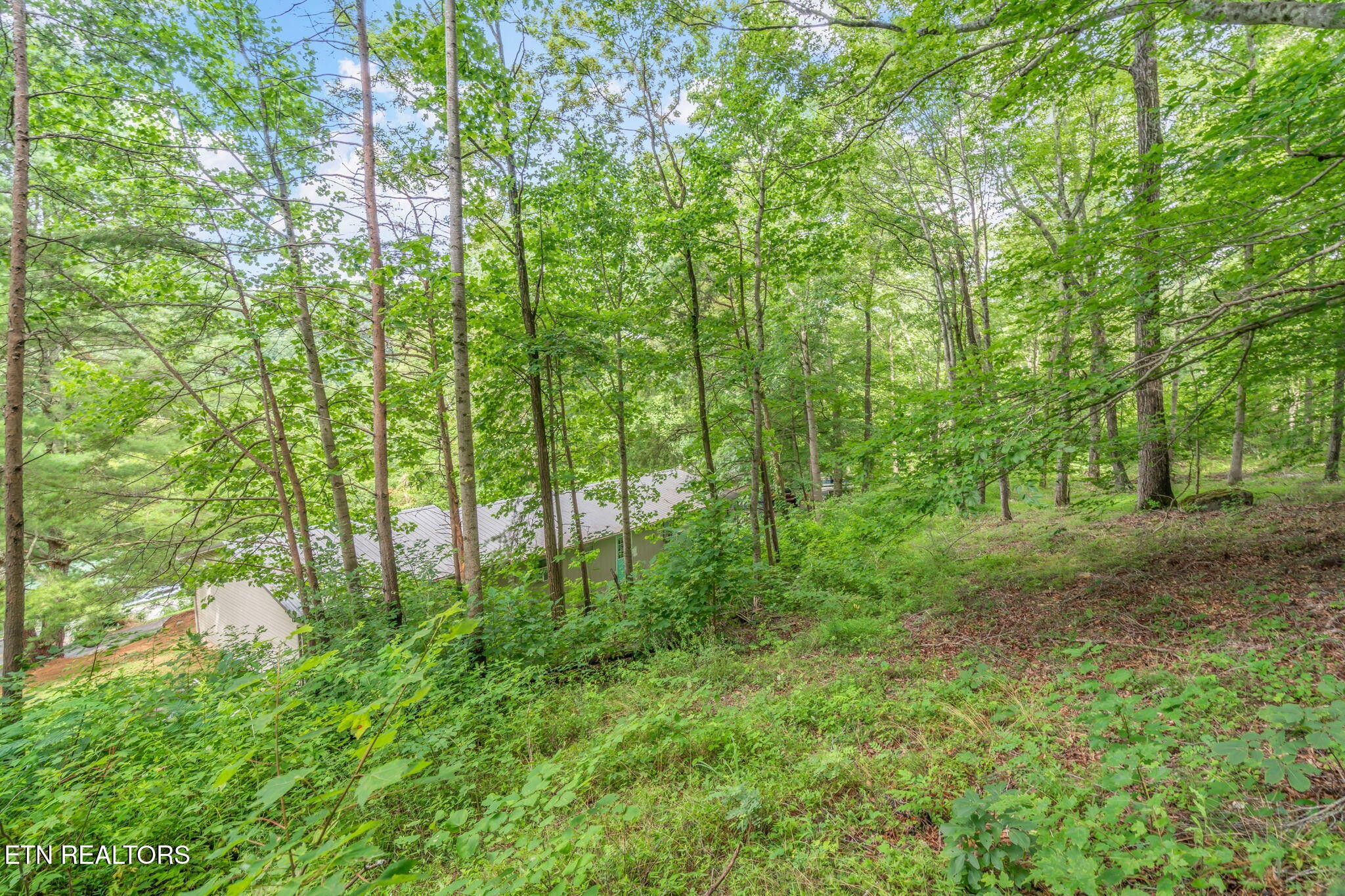 1386 Walker Ford Road Maynardville, TN 37807 - Photo 28 of 35