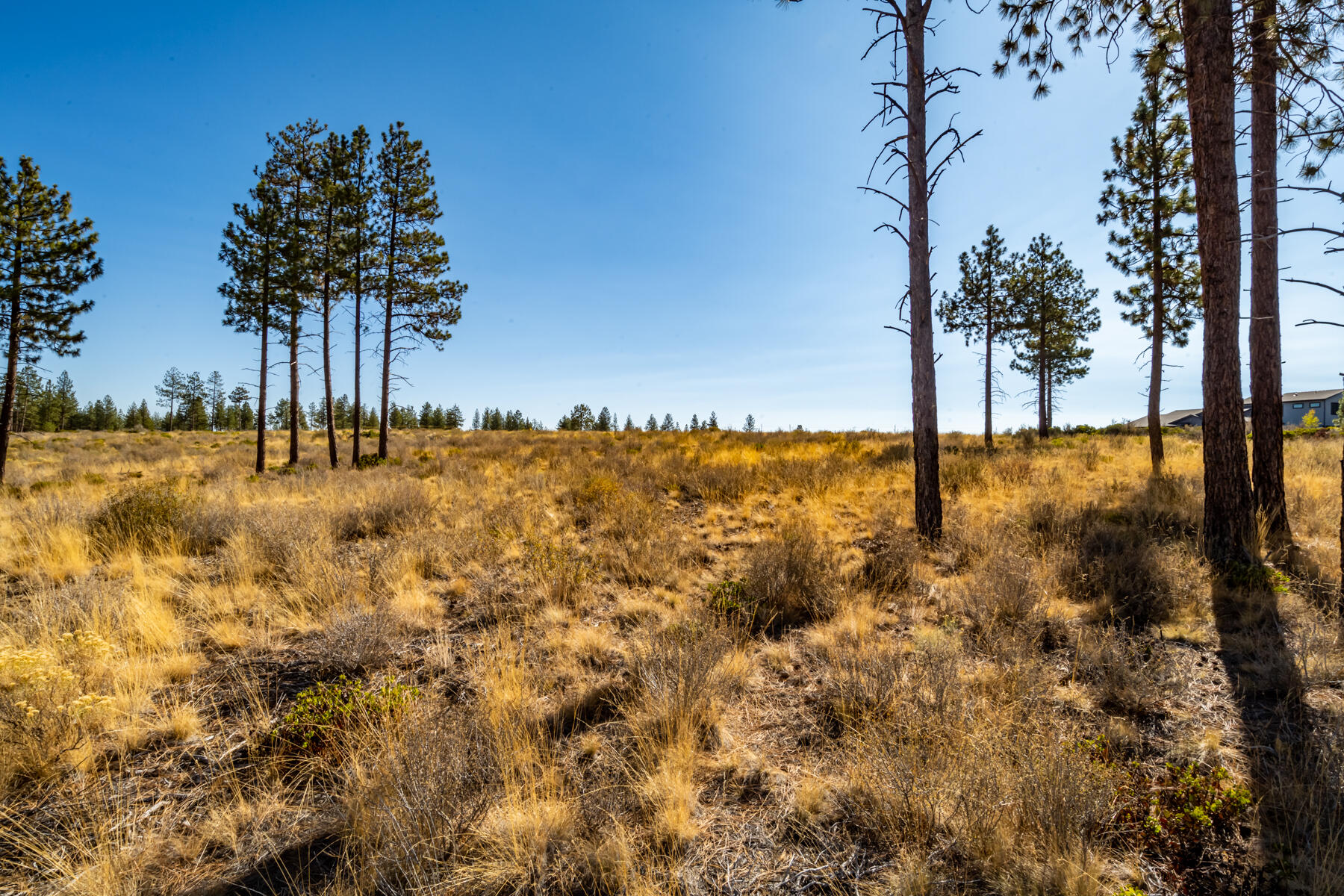 62450 Huntsman Loop Bend Bend, OR 97703 - Photo 8 of 13 9