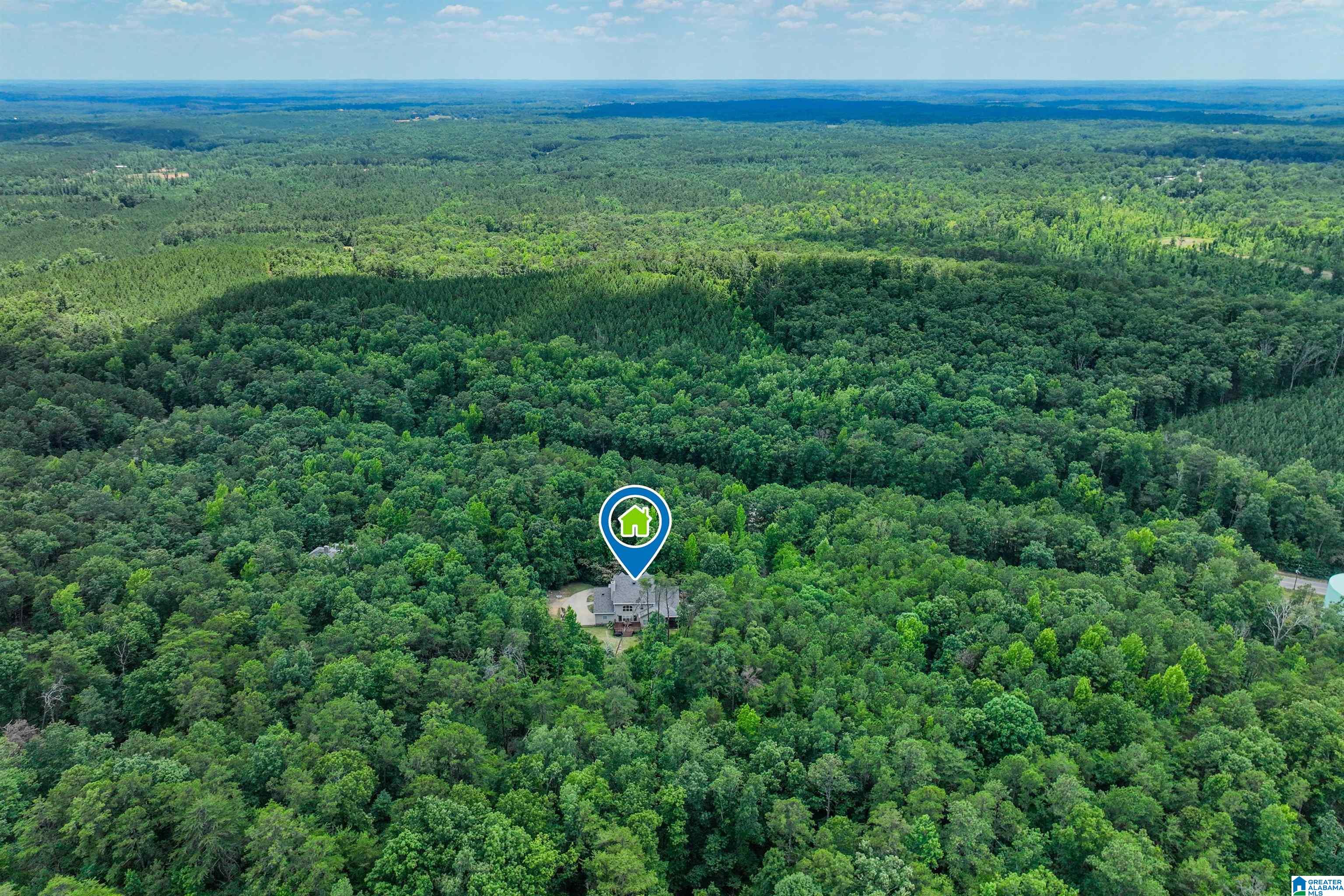 1249 Ferry Road Columbiana, AL 35051 - Photo 66 of 70