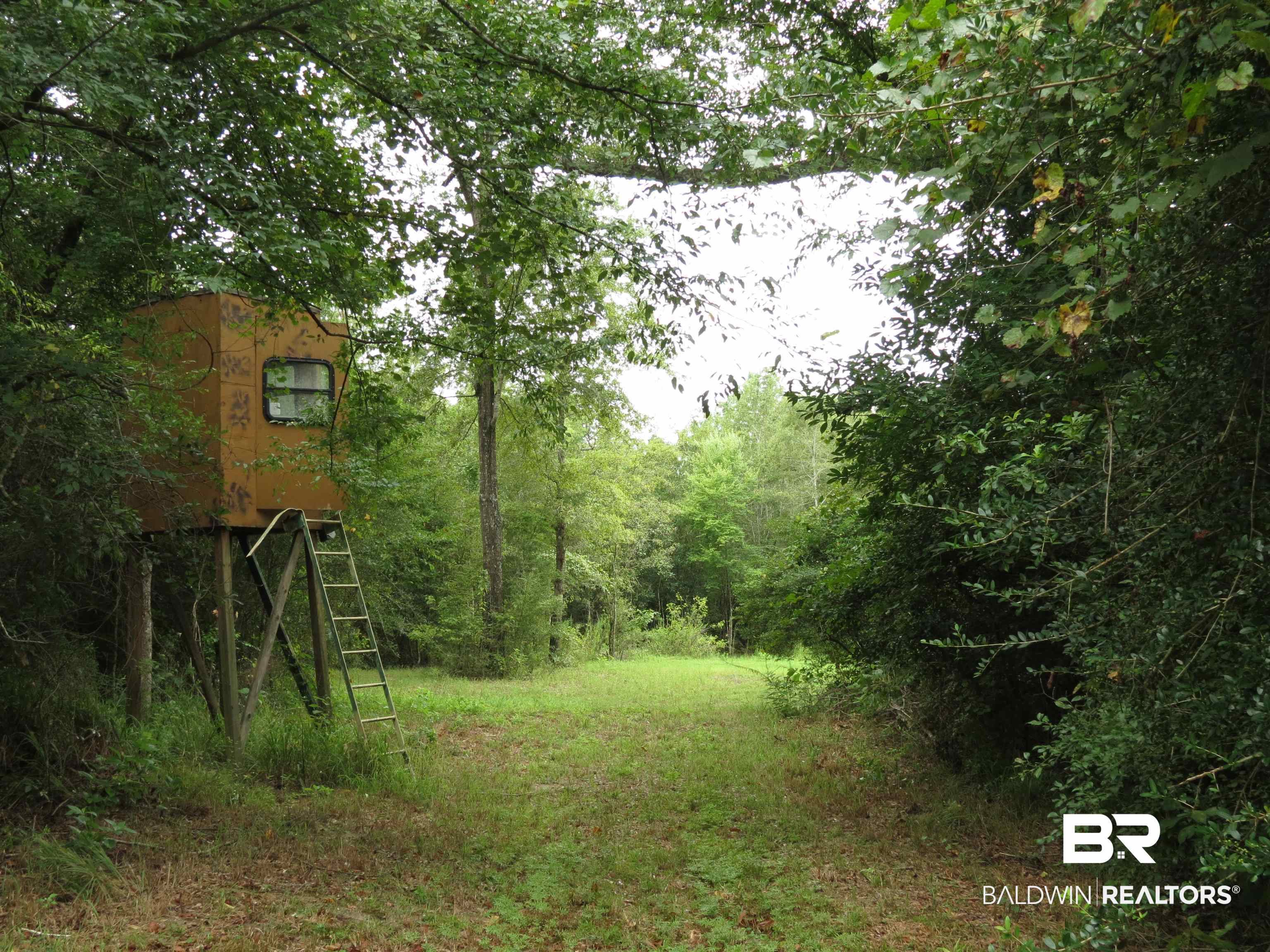 1045 Poole Road Castleberry, AL 36432 - Photo 5 of 27 Shooting Stand