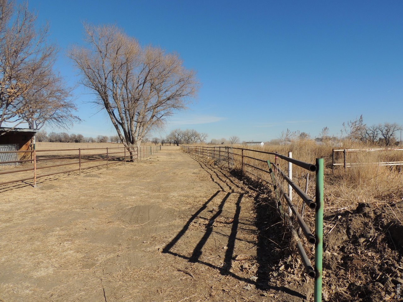 0 County Road 14 1/2 Fort Lupton, CO 80621 - Photo 2 of 12 a view of a yard with a tree