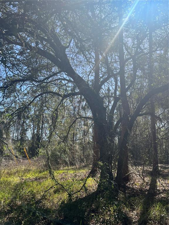 Mt Pleasant Road Groveland, FL 34736 - Photo 12 of 15